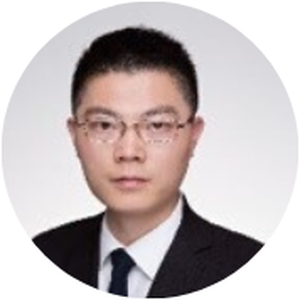 Gary Liu (Partner Transaction Advisory Services - Real Estate Transaction Support at Ernst & Young (China) Advisory Limited)